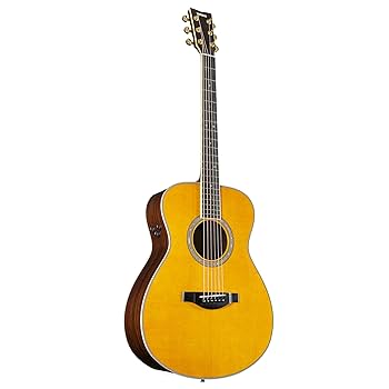 Amazon.co.jp: ヤマハ YAMAHA トランスアコースティックギター